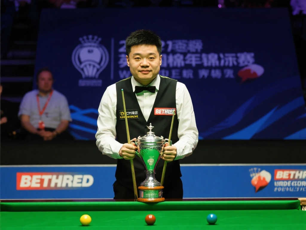 发挥证明了 发挥证明了