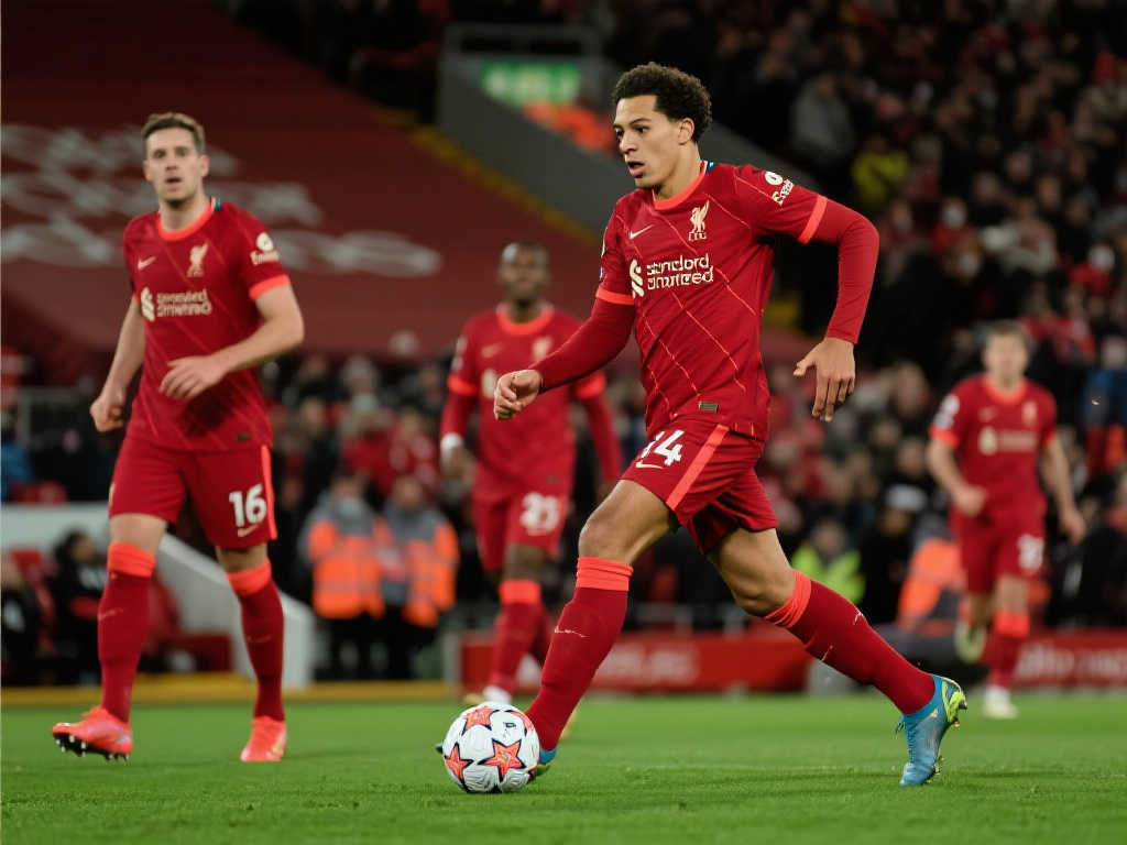 受到尼克斯 受到尼克斯