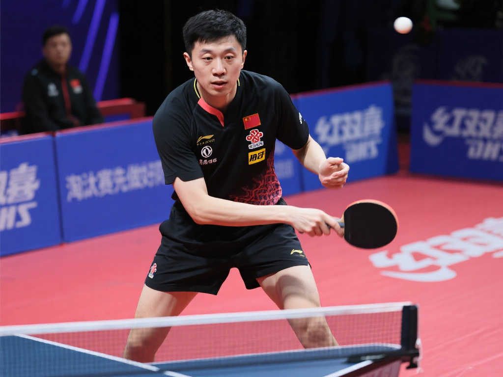 在过去的几 在过去的几